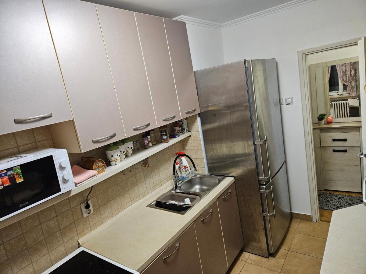 Apartment Slavija