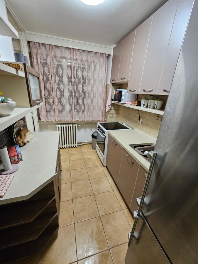 Apartment Slavija